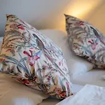 Сasa de vacaciones Amselhaus