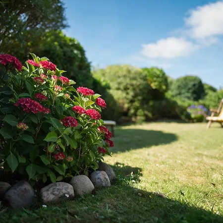 Hébergement de vacances Amselhaus Westerland